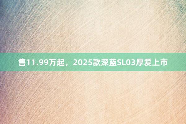 售11.99万起，2025款深蓝SL03厚爱上市