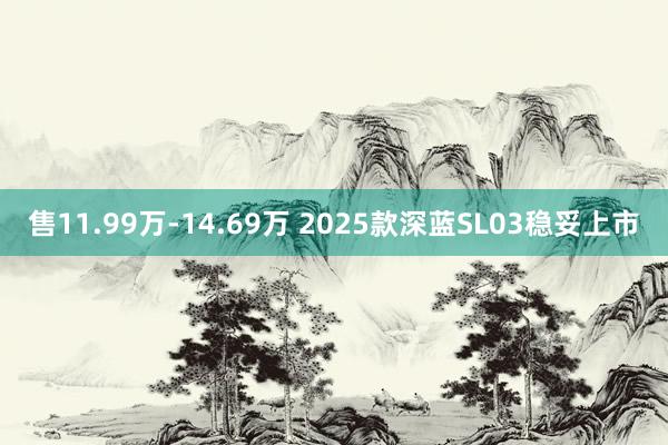 售11.99万-14.69万 2025款深蓝SL03稳妥上市