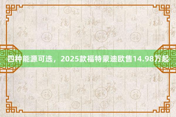 四种能源可选，2025款福特蒙迪欧售14.98万起