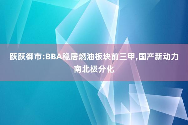 跃跃御市:BBA稳居燃油板块前三甲,国产新动力南北极分化