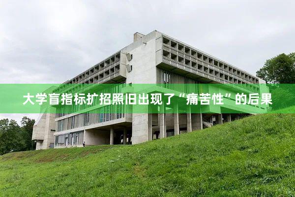 大学盲指标扩招照旧出现了“痛苦性”的后果