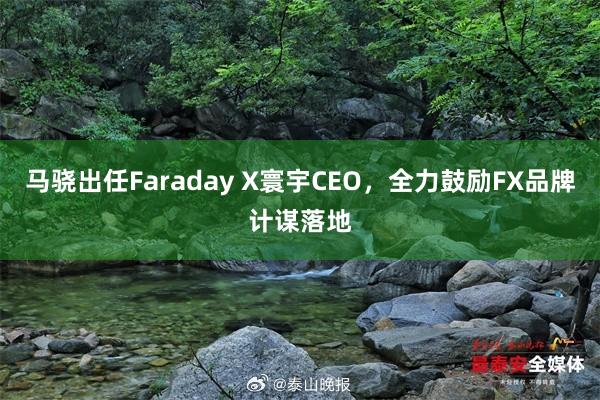 马骁出任Faraday X寰宇CEO，全力鼓励FX品牌计谋落地