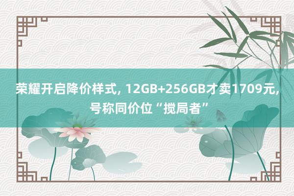 荣耀开启降价样式, 12GB+256GB才卖1709元, 号称同价位“搅局者”